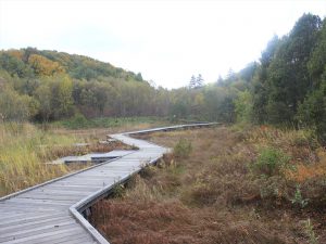 冬が近づく平岡公園