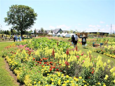 札幌 公園緑地さんぽ】 「ガーデンフェスタ北海道2022」の恵庭「はな